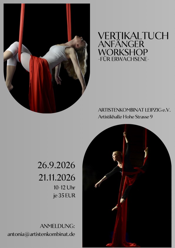 Vertikaltuch Anfänger*innen Workshop für Erwachsene